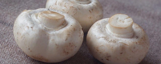 四孢蘑菇的做法 分享黑胡椒雙孢菇這道菜