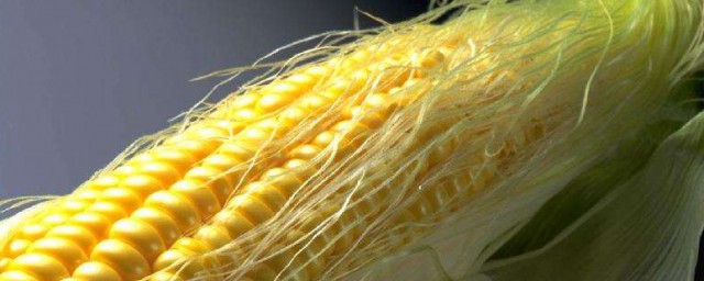 玉米病害癥狀介紹 玉米常見病蟲害羅列
