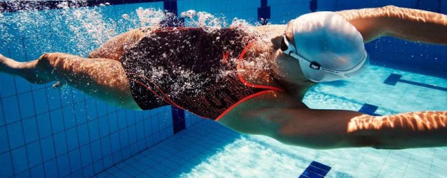 抬頭自由泳的訣竅 學會技巧輕松加速！