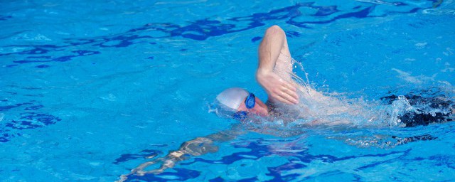 自由泳初級教學流程 遊泳入門技巧