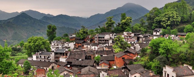 楊莊村地址 楊莊村簡介