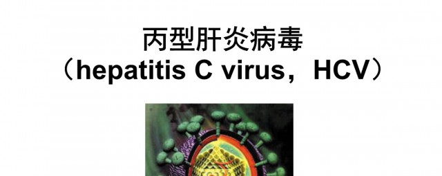 hcv是什麼病毒 有什麼傳播途徑