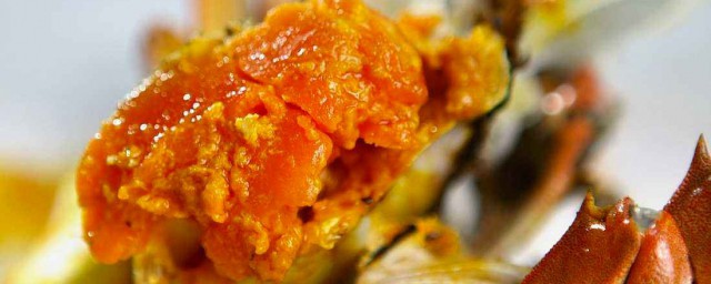 大閘蟹蟹黃怎麼是稀的 蟹之食道
