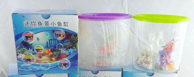 塑料魚缸內壁怎麼清理 這幾種方法你知道嗎