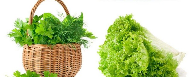 吃綠色蔬菜青菜減肥嗎 一起瞭解一下