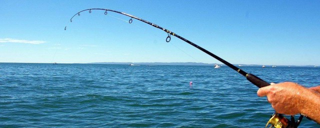 花生釣青魚的制作方法 這7種方法讓您越釣越過癮