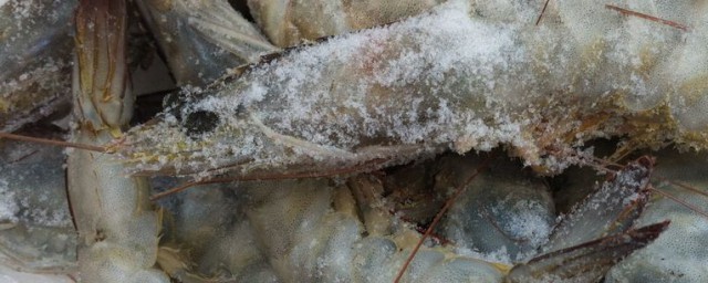 冰鮮蝦的做法 椒鹽蝦怎麼做好吃