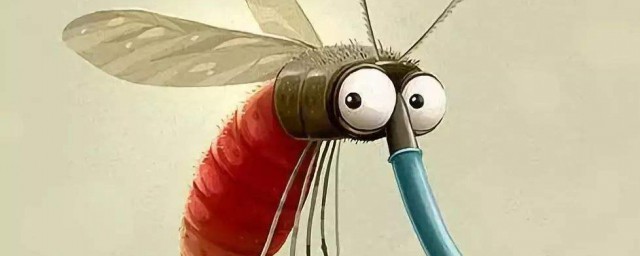 蚊子的習性 你知道嗎