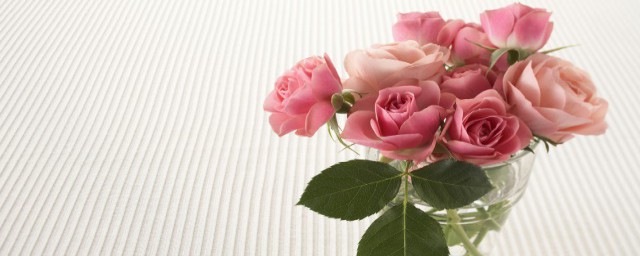 用紙怎麼做玫瑰花 可以學習一下
