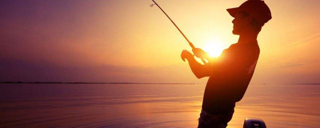 釣草魚離底多少最好 小技巧教你輕松釣草魚