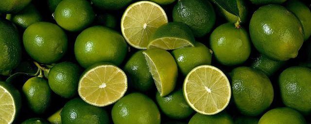 檸檬種子幾月種 檸檬最佳種植季節是什麼時候