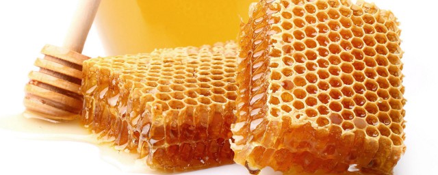蜜蜂是什麼時候出蜂巢的 其冬季飛出蜂巢的原因