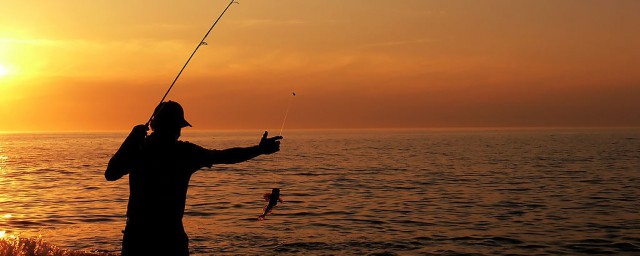 長江鳡魚怎麼釣 鳡魚的垂釣方法