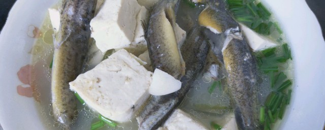 泥鰍燉豆腐的做法 泥鰍燉豆腐怎麼做好吃