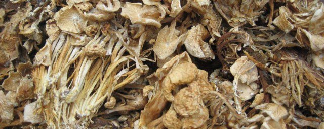 幹蘑菇怎麼吃 和它一起煮十分美味
