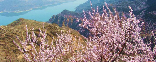 荊紫山主要景觀 關於荊紫山的絕美景色簡介