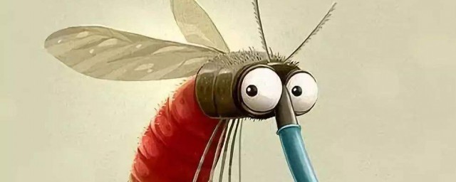蚊子不咬什麼人 為什麼蚊子就愛咬你