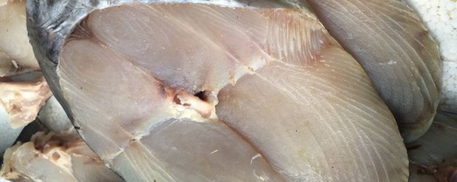 馬鮫魚是海魚嗎 體型特征是什麼
