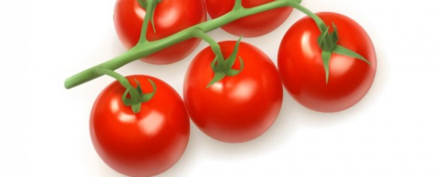 西紅柿怎麼挑沙的 西紅柿怎麼挑熟透的