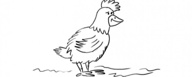 簡筆畫雞的畫法 最簡單的畫法