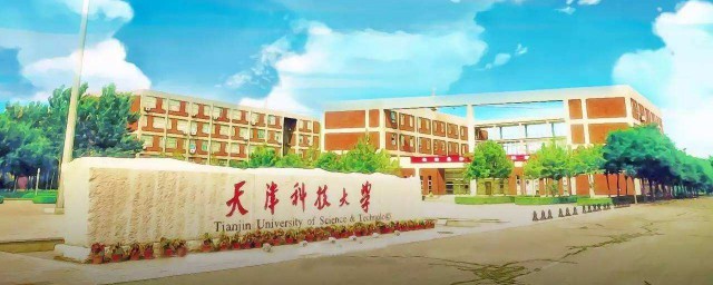 天津科技大學是一本嗎 規模怎麼樣