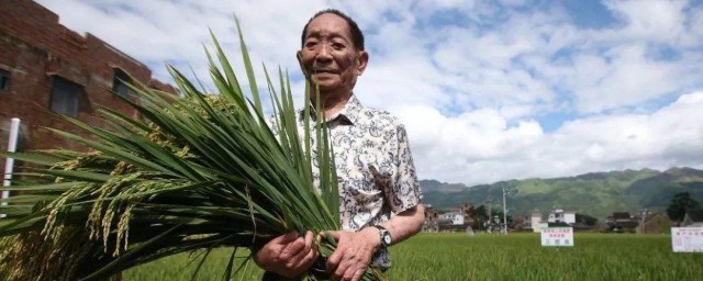 袁隆平吸煙五大好處說的是什麼 袁隆平曾獲得哪些獎項