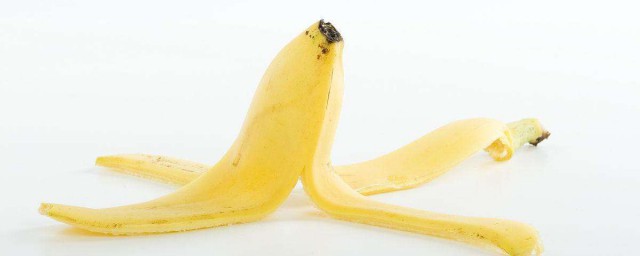 香蕉怎麼養花 你都學會瞭嗎