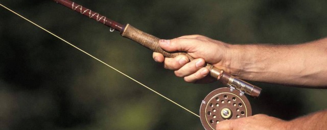 飛磕鯉魚用幾米的釣竿合適 來看看咯