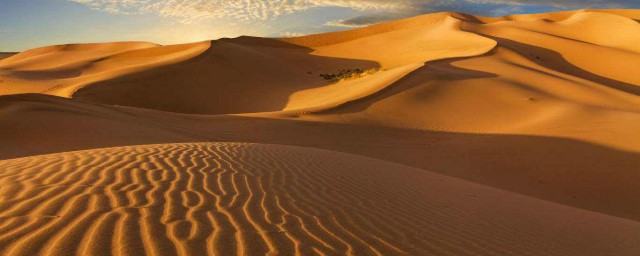 沙漠裡的沙子能利用嗎 沙漠城市建設能成功嗎