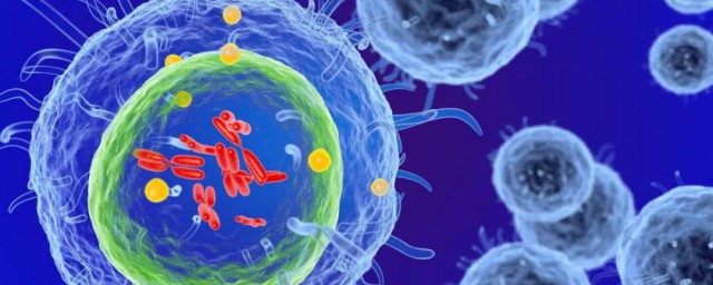 免疫療法適合哪種癌癥 什麼是免疫療法？