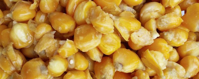 發酵玉米粒制作方法 這樣做既簡單又實用