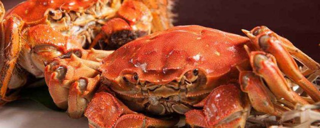 硬皮病能吃螃蟹嗎 現在你知道瞭嗎