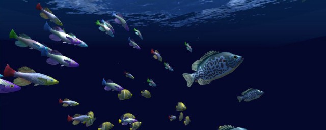 夢見很多魚在水裡遊 代表什麼呢