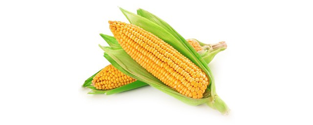 玉米種植時間和方法 需要得記得收藏