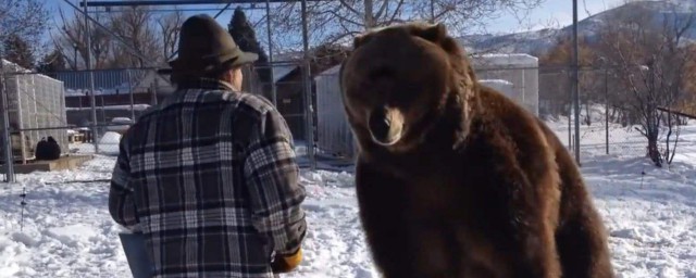 熊為什麼怕俄羅斯人 竟然是這樣的理由
