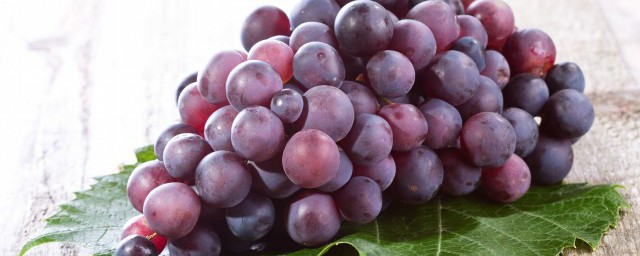 葡萄怎樣施肥 學會這些能更好管理葡萄