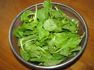 小白菜砂鍋丸子