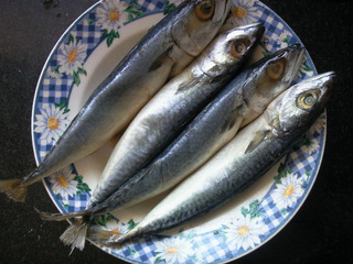 青魚白菜豆腐鍋