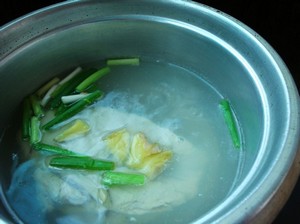 自制雞精