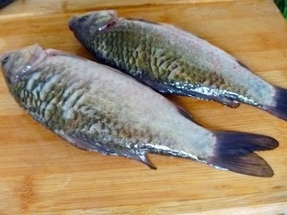 鯽魚豆腐湯