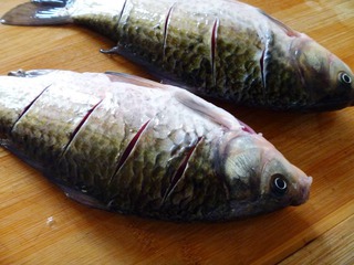 鯽魚豆腐湯