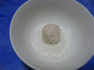 蛋白椰絲球