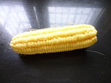 黃金粥