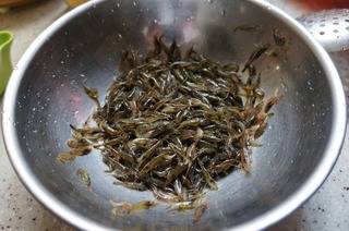 自制蝦皮
