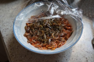 自制蝦皮