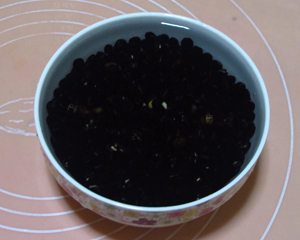 黑豆腐