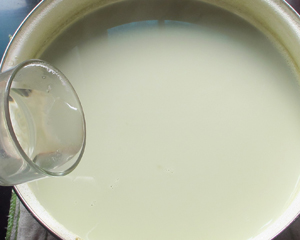 黑豆腐