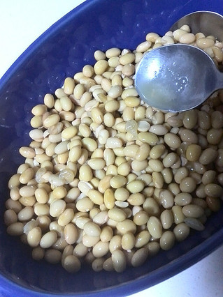 自制黃豆納豆