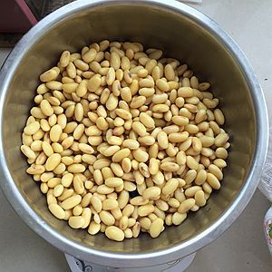 自制鹽鹵豆腐