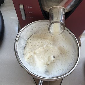 自制鹽鹵豆腐